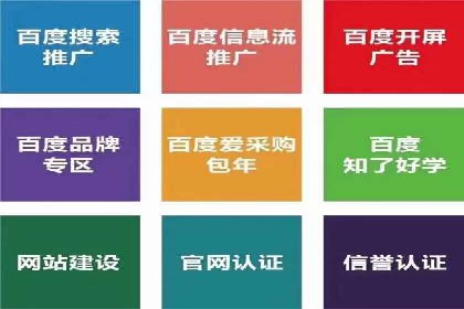 某品牌通过SEM优化实现品牌增长的故事